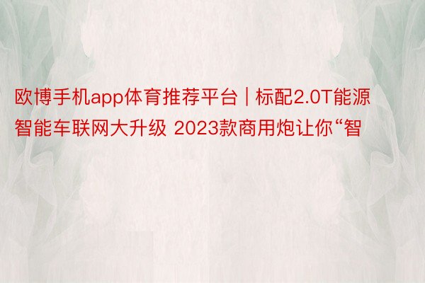 欧博手机app体育推荐平台 | 标配2.0T能源 智能车联网大升级 2023款商用炮让你“智