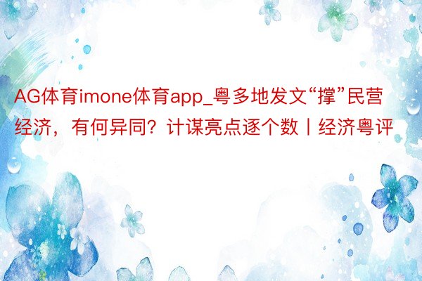 AG体育imone体育app_粤多地发文“撑”民营经济，有何异同？计谋亮点逐个数丨经济粤评