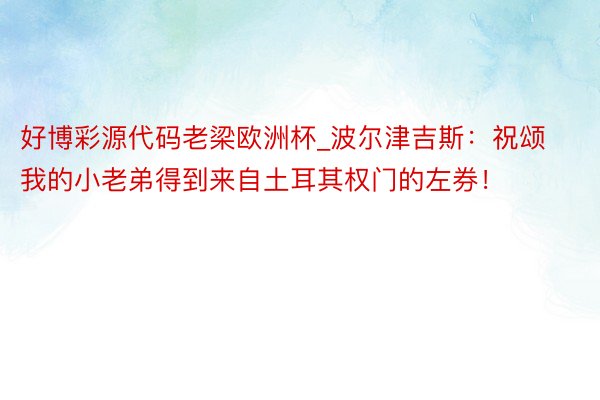 好博彩源代码老梁欧洲杯_波尔津吉斯：祝颂我的小老弟得到来自土耳其权门的左券！